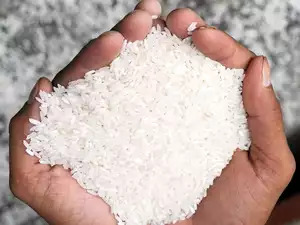Rice prices will rise as supply is threatened by the weather and Indian agricultural incentives-thumnail